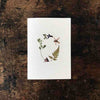 Individual Letter Cards Greeting Cards Greener House Melbourne